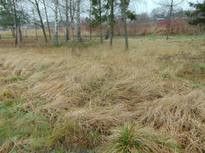 Działka budowlana 1298 m2 Kalisz-Chmielnik