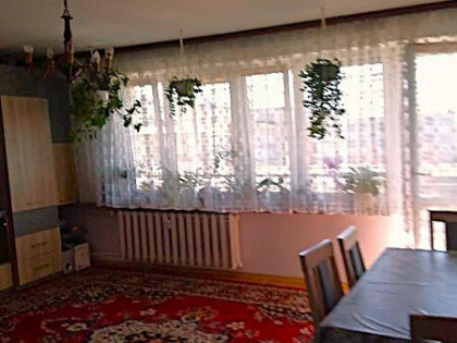 Mieszkanie Augustów, Norwida