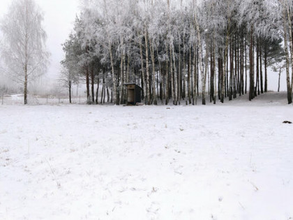 Działka budowlana Krynice gm. Dobrzyniewo Duże,