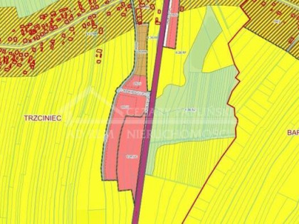 Działka przemysłowa Trzciniec gm. Lubartów, Trzciniec, Lubartów