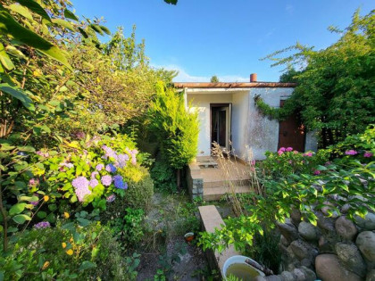 Działka ogrodnicza ROD, ogród, Gdynia