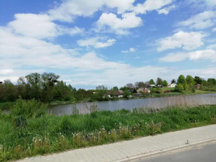 Działka o pow. 4,6 ha w Klementowicach gm. Kurów.