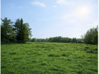Działka budowlana 20 minut od Sky Bridge 721