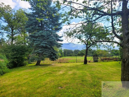 Dom Goleszów, Pszenna