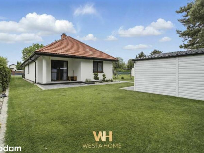 Dom wolnostojący. Rezerwat Wikliny Wiślane.