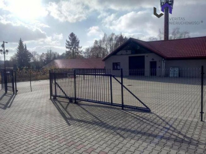 Lokal użytkowy Katowice