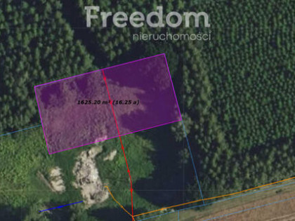 Działka ze stawem otoczona lasem Warmia Mazury