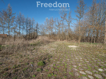 Działka w miejscowości Jezioro, niedaleko Elbląga