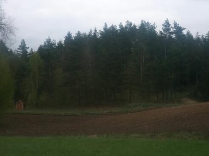 Sprzedam działkę rolno 45000zł