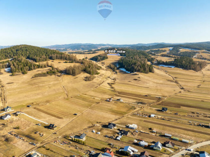 Szukasz lokaty kapitału w sąsiedztwie lasu?