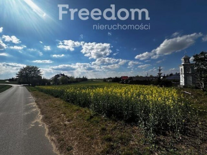 Działka w spokojnej okolicy w Lisewie