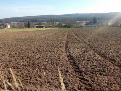 Działka rolna 1,05 ha – Niemienice – przy drodze asfaltowej