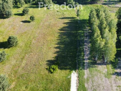 Stare Budy Radziejowskie- działka z prądem.