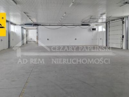 Lokal użytkowy Kurów, Kurów