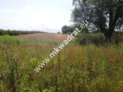 ⭐⭐⭐⭐ Okazja Działka 19000m2 z warunkami zabud!⭐⭐⭐⭐