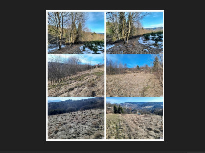 Działka, 4 572 m², Pewel Wielka