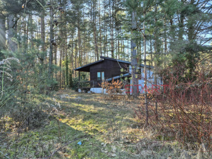 Działka budowlana Adamów-Wieś gm. Radziejowice,