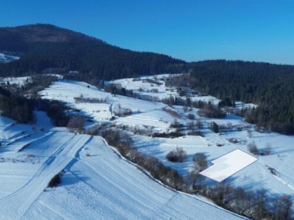 Działka rolna Kasina Wielka gm. Mszana Dolna