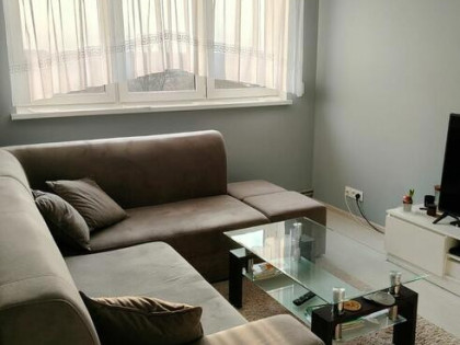 Mieszkanie do wynajęcia