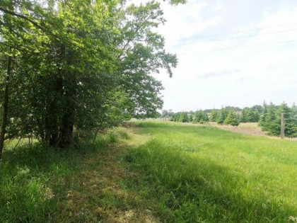 Działka inwestycyjna Glinno gm. Nowy Tomyśl,