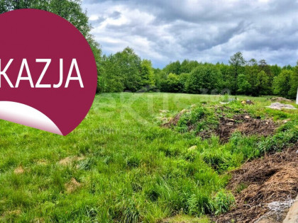 DZIAŁKA INWESTYCYJNA 4500 m²-SOSNÓWKA k. KAPRACZA