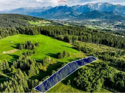 DZIAŁKI ROLNE - SPRZEDAŻ DZIANISZ (SKŁADZISKA)