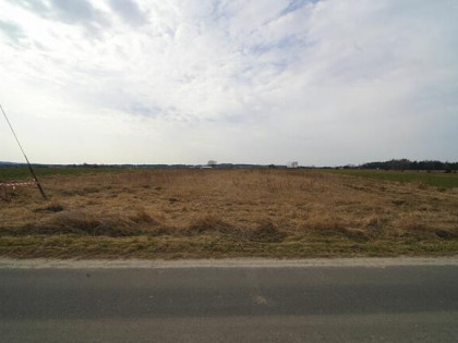 Działka rolna 0,82 ha – Dąbrowice Częściowe, gmina Kościelec