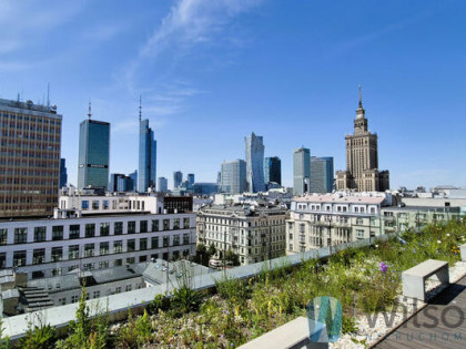 Lokal użytkowy Warszawa gm. Śródmieście Śródmieście, Marszałkowska