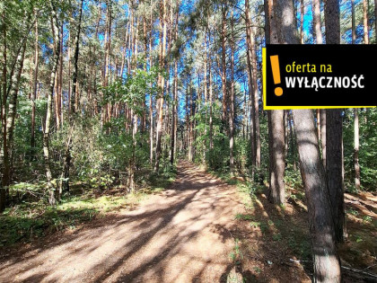 Działka Suków Podmarzysz ul.  