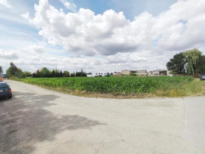 Działka usługowa Wysoczka gm. Buk,