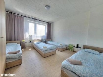 INWESTYCJA 25%, GOTOWIEC INWESTYCYJNY, NAJEM OD 1. DNIA, 59 m², 3 POKOJE