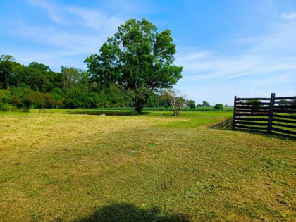 Działka inwestycyjna Młodasko gm. Kaźmierz, Kaźmierska