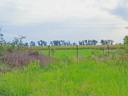 Działka inwestycyjna Komorniki, Słoneczna