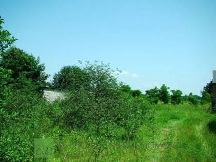 Działka Długa Szlachecka