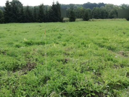 Działka budowlana Szczepanów gm. Marcinowice, Szczepanów