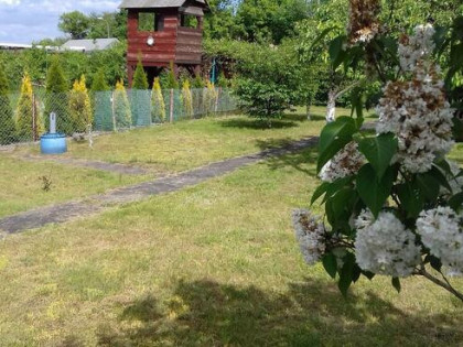 Działka ROD przy Okrężnej..