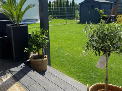 Dom Polkowice Polkowice Dolne, Przemkowska