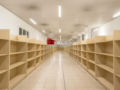 Lokal użytkowy Świdnica, Świdnica