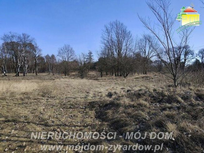 Działka budowlana Żyrardów