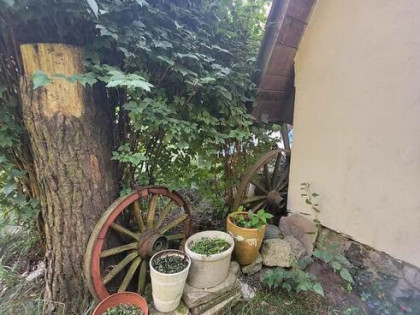 Sprzedam działkę ROD Międzylesie, os. Warszawskie