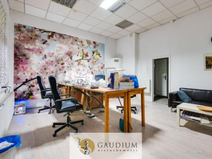 Kameralny lokal do wynajęcia