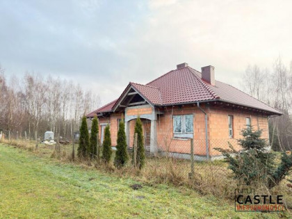 Dom Złotniczki gm. Pobiedziska, Barwna