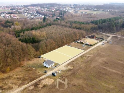 DZIAŁKA BEZPOŚREDNIO PRZY ŚCIANE LASU