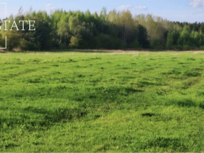 Działka Koryta ul. Lipowa