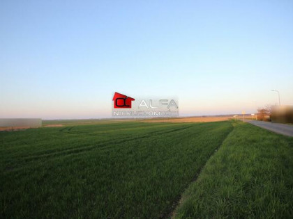 Działka budowlana Żarów