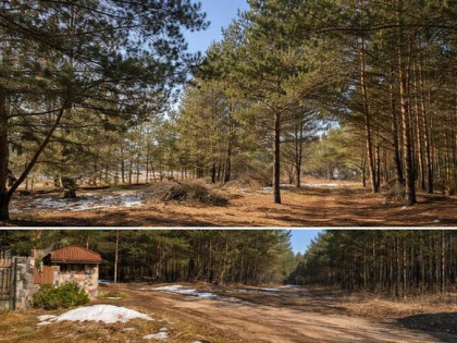 Działka budowlana Woroszyły gm. Wasilków,