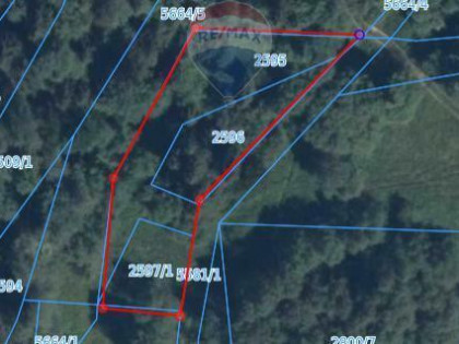 Kompleks działek w miejscowości Skomielna Biała