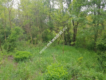 DZIAŁKA ZADRZEWIONA O REGULARNYM KSZTAŁCIE