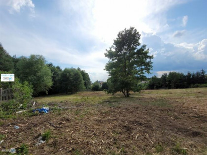 Działka usługowa Miedziana Góra Kostomłoty Pierwsze