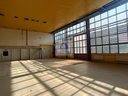 Lokal Warszawa Bielany ul. Sokratesa